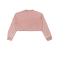 Snow Washed Raw Edge Cropped Sweatshirt